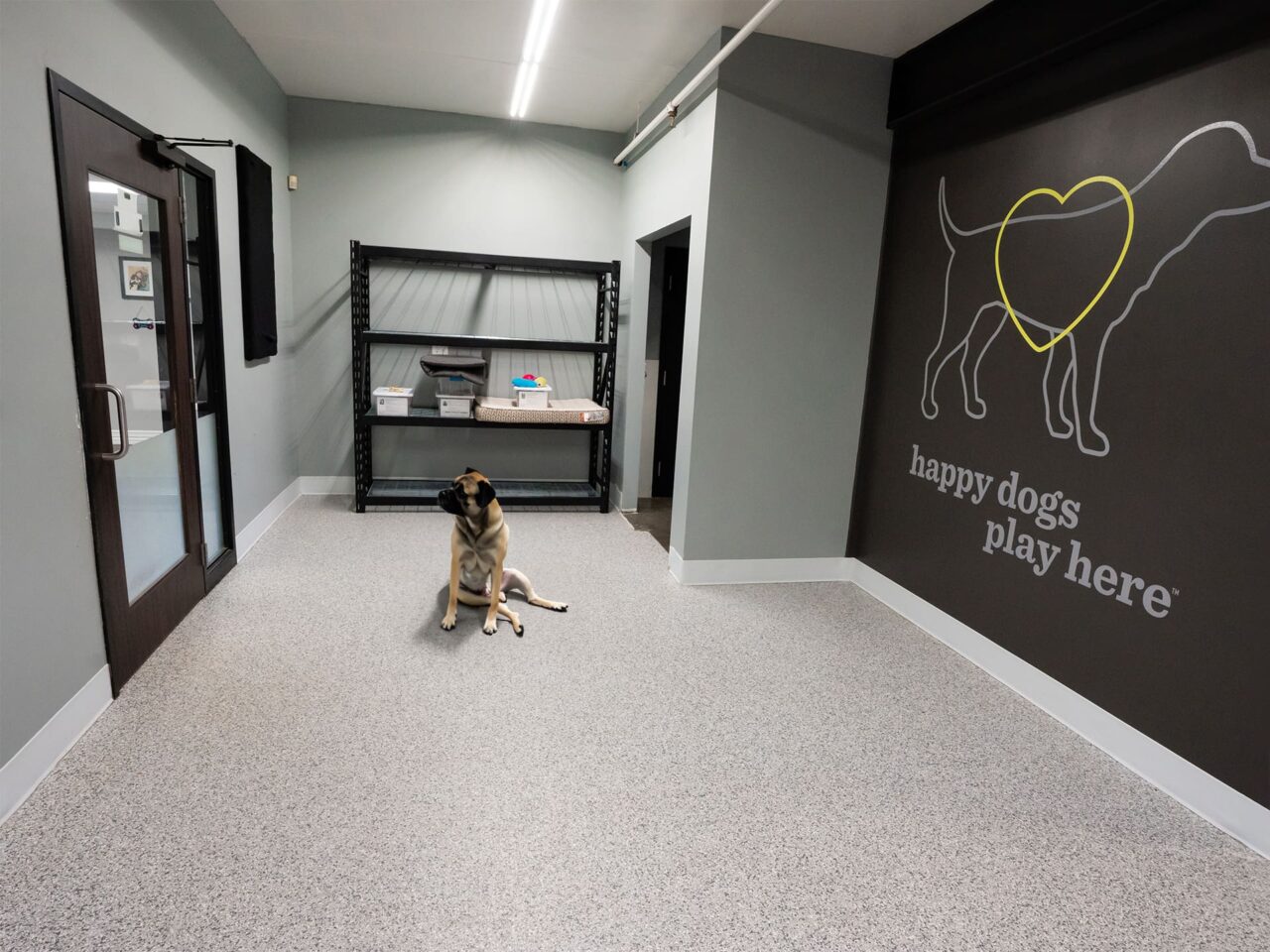 pet grooming floor coating bay tek coatings 1280x960 1